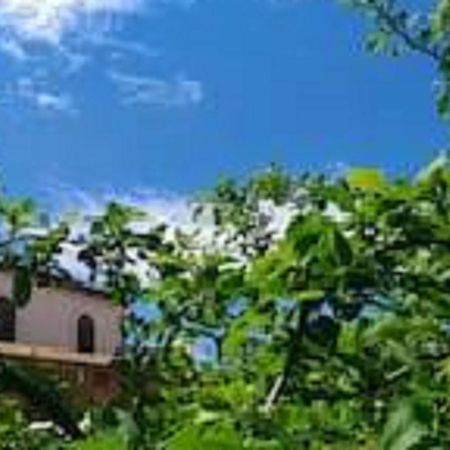 Il Gelsomino Home Holiday Alcamo Ngoại thất bức ảnh