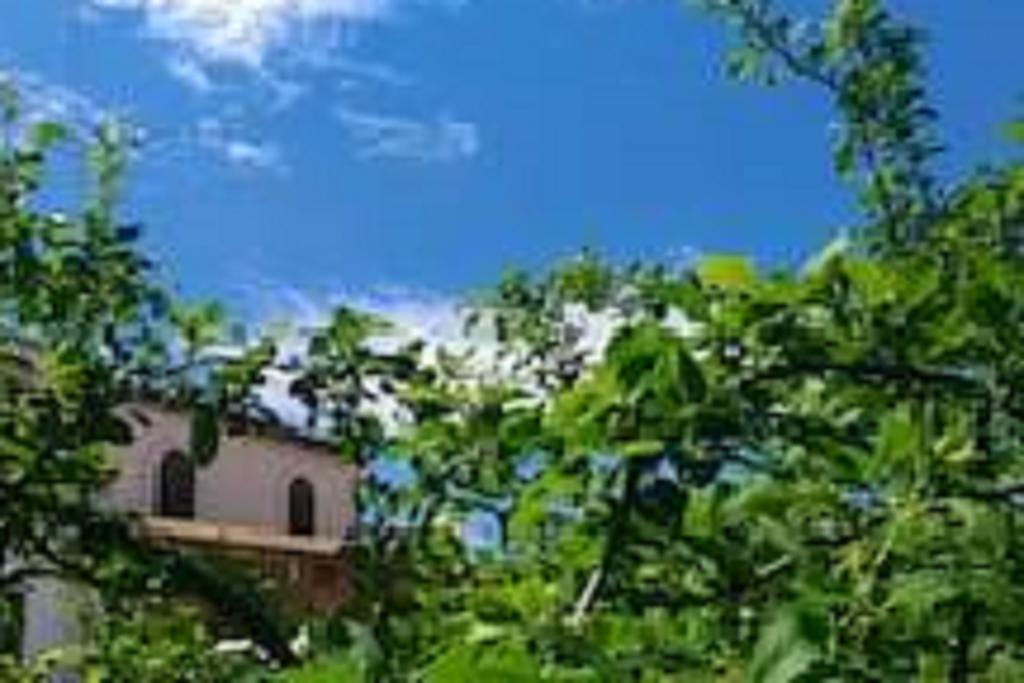 Il Gelsomino Home Holiday Alcamo Ngoại thất bức ảnh